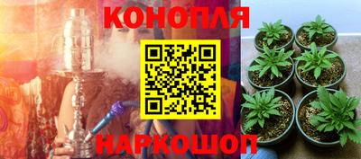 индика Канаш