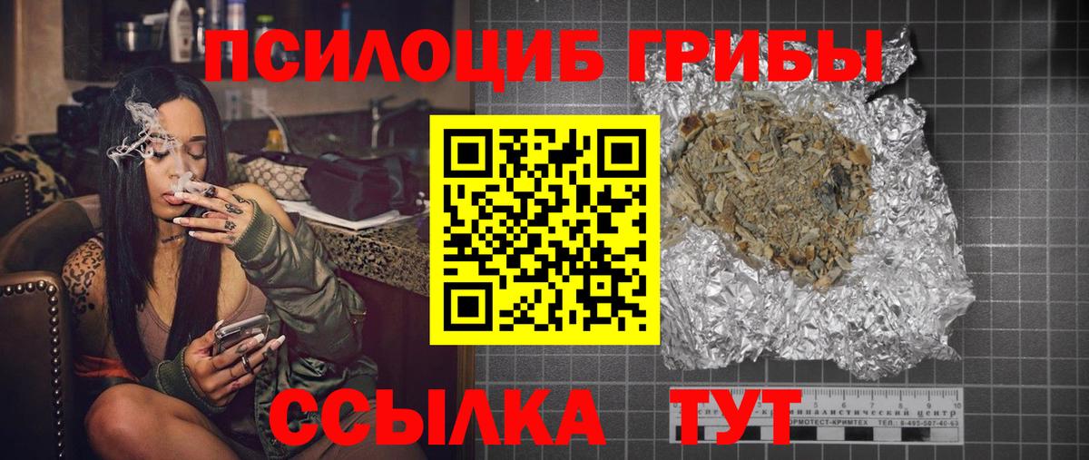 Кыштым  Псилоцибиновые грибы Psilocybine cubensis  Вход с VPN 